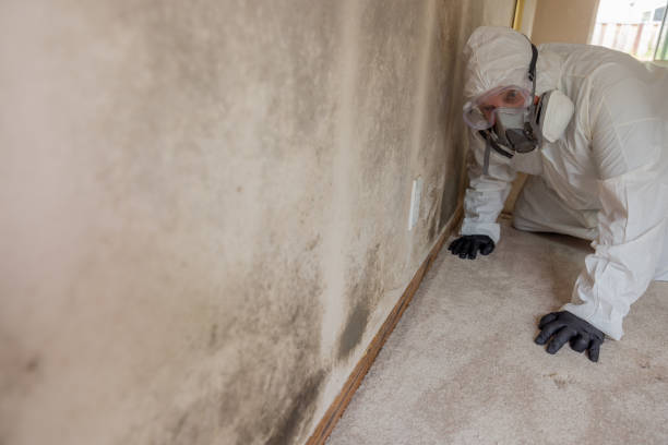 24/7 water damage repair in Oro Valley, AZ